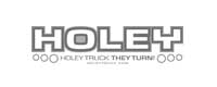 Logo holey